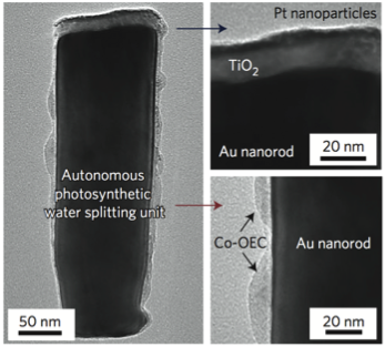 Photoanode Device